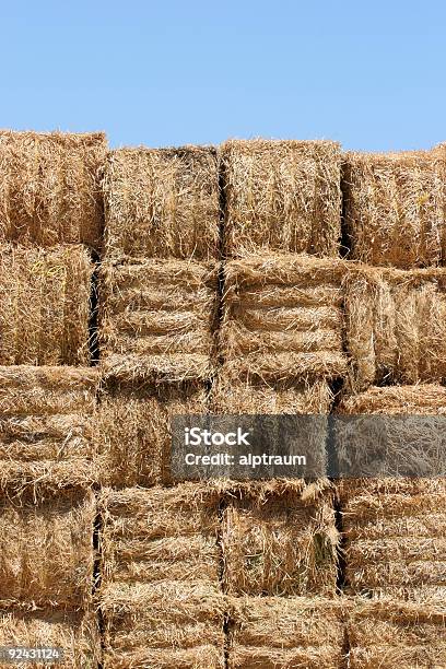 Parede De Fardos De Feno Contra Céu Azul - Fotografias de stock e mais imagens de Agricultura - Agricultura, Amarrado, Ao Ar Livre