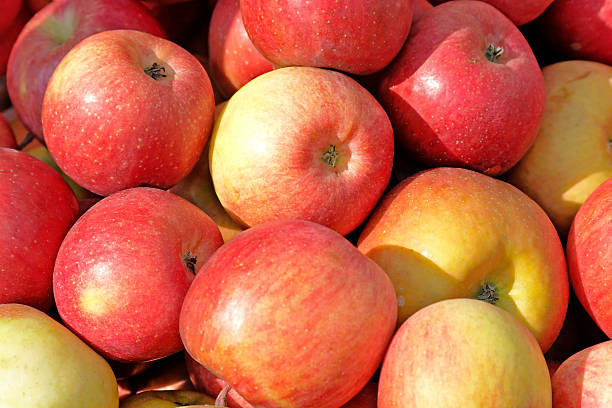 jaula de cameo manzanas en farmer's market-vista en primer plano - macintosh apples fotos fotografías e imágenes de stock