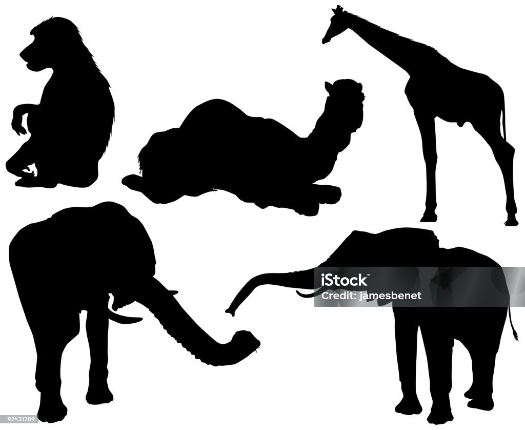 Afrykańskie zwierzęta sawanny (Wektor - Zbiór ilustracji royalty-free (Bez ludzi)