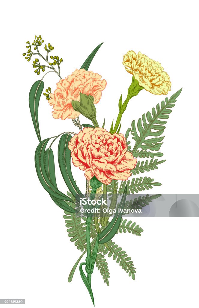 Cùng tô điểm cho ngôi nhà của bạn bằng bó hoa Cẩm Chướng Schabaud Dương Xỉ rừng hạt Bạch Đàn hồng hoa tự tay vẽ của bạn. Cách vẽ cây dương xỉ lãng mạn và tinh tế này sẽ mang lại cho không gian sống của bạn một vẻ đẹp hoàn hảo.