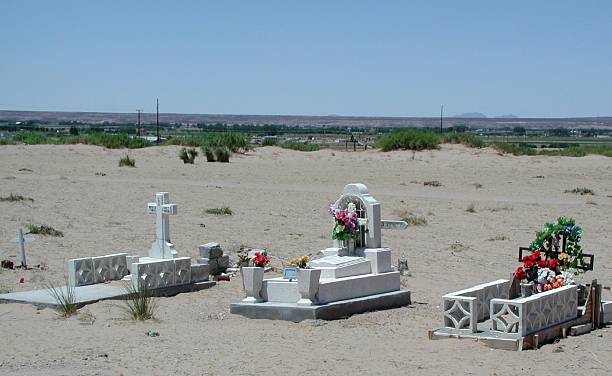 cementerio en vado, nm - single flower flower desert new mexico fotografías e imágenes de stock