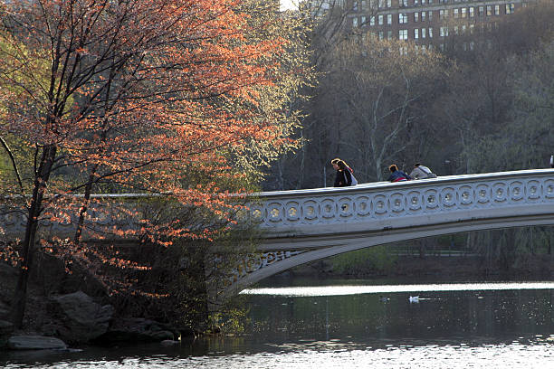 Bridge stock photo