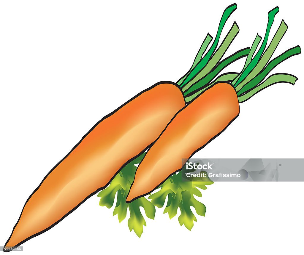 Two carrots on parsley  Carrot stock illustration