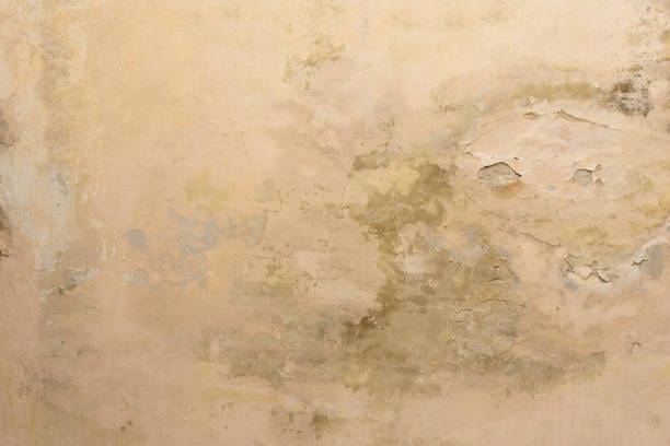 Cream color wall texture background with copy space