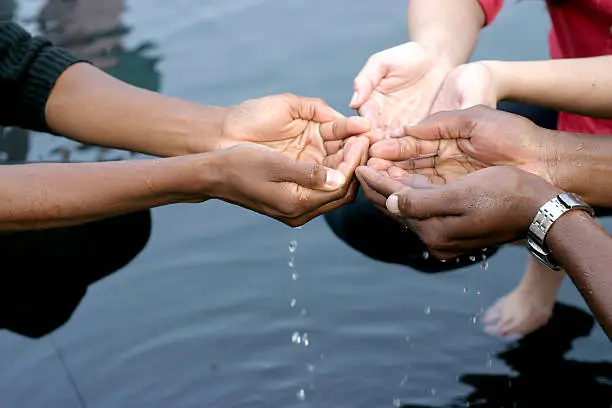 People's cupped hands, holding water.
