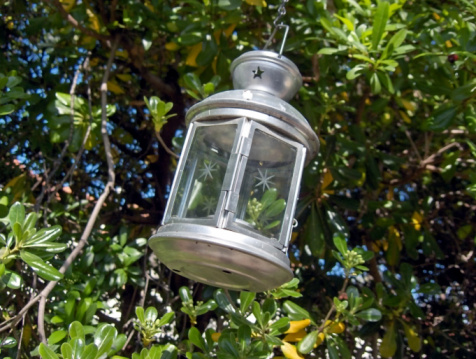 Stock photo showing close-up view of the branches of a tree from which an outdoor glass, pendant lampshade is hanging by a chain.
