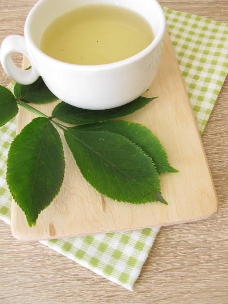 istock Boiled tea with elderberry leaves 924331160