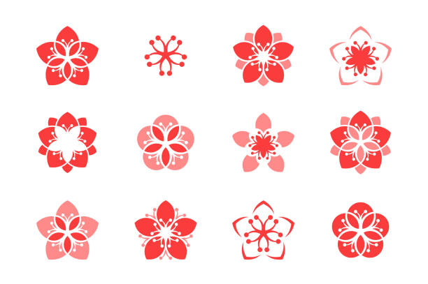 illustrazioni stock, clip art, cartoni animati e icone di tendenza di fiore di ciliegio. set di icone. sakura. fiori astratti su sfondo bianco - blossom cherry blossom sakura flower