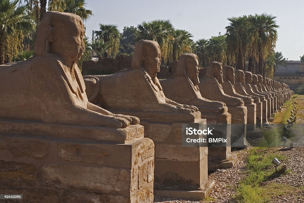 Avenue of Sphinxes - Zbiór zdjęć royalty-free (Aleja)