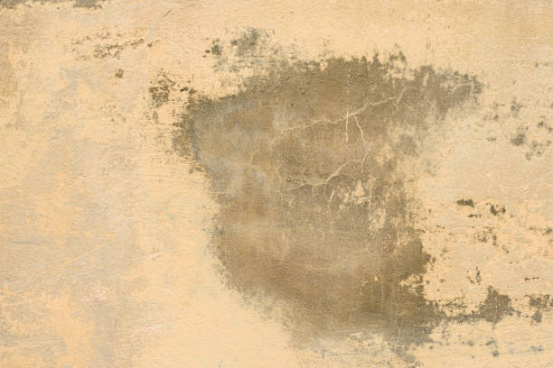 istock Wall fragment with attritions and cracks 924334260