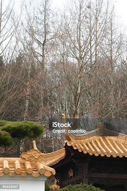 東洋の屋根 - こけら板のストックフォトや画像を多数ご用意 - こけら板, アジア大陸, オークの木