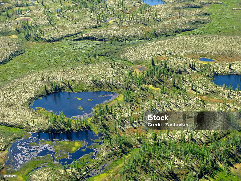 Paesaggio foresta-tundra - Foto stock royalty-free di Veduta aerea