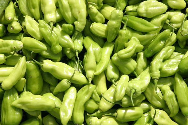 Green pepper stock photo