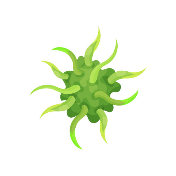 Ilustración de Ilustración De Dibujos Animados De Virus De La Gripe Verde Enfermedad Infecciosa Concepto De Biología Y Microbiología Diseño Vector Plano Infografía De Medicina O Libros Educativos y más Vectores Libres de Derechos de Alemania ... Ilustración de Ilustración De Dibujos Animados De Virus De La Gripe Verde Enfermedad Infecciosa Concepto De Biología Y Microbiología Diseño Vector Plano Infografía De Medicina O Libros Educativos y más Vectores Libres de Derechos de Alemania ...