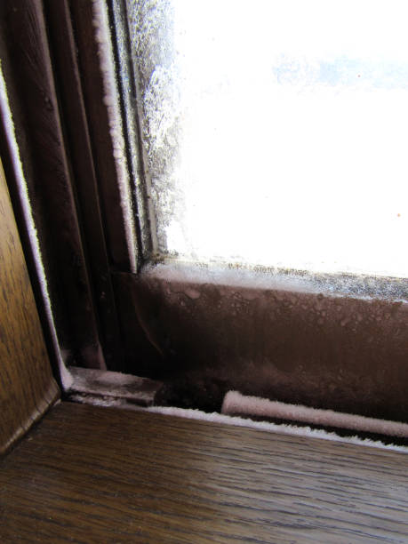 istock Window frozen due to condensation 924340892