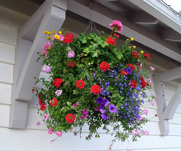 istock Basket Of Flowers 92434364