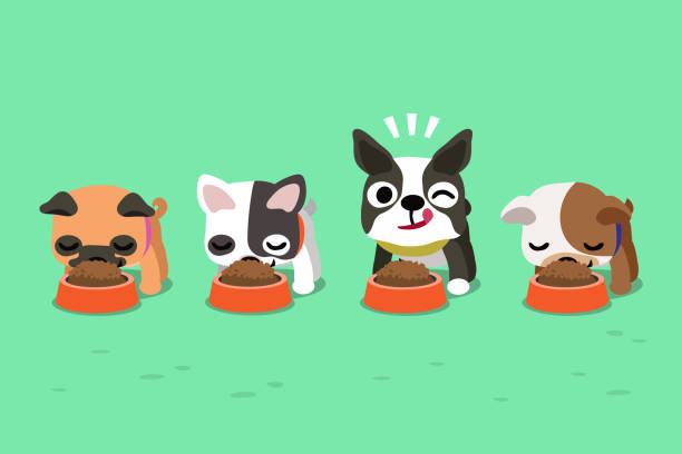 kreskówka wektorowa słodkie psy z miseczkami z jedzeniem - cute animal asia brown stock illustrations