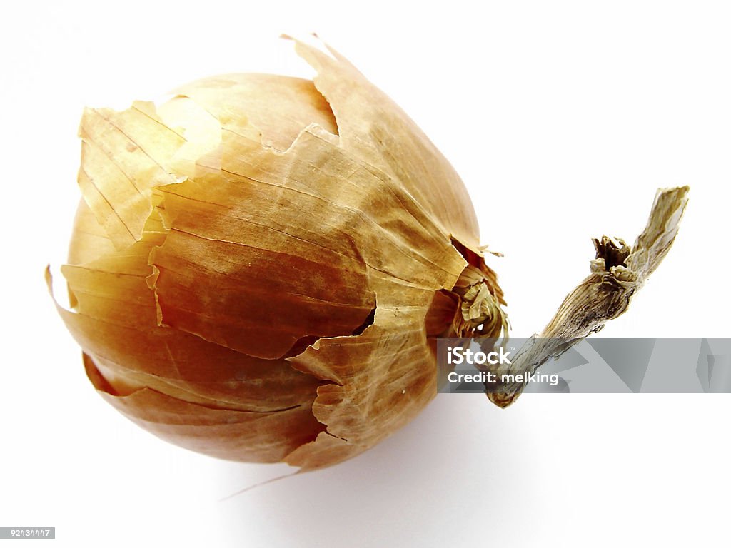 Onion  Abstract Stock Photo