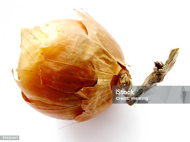 Onion Stock Photo - Download Image Now - Abstract, Animal Skin, Close-up