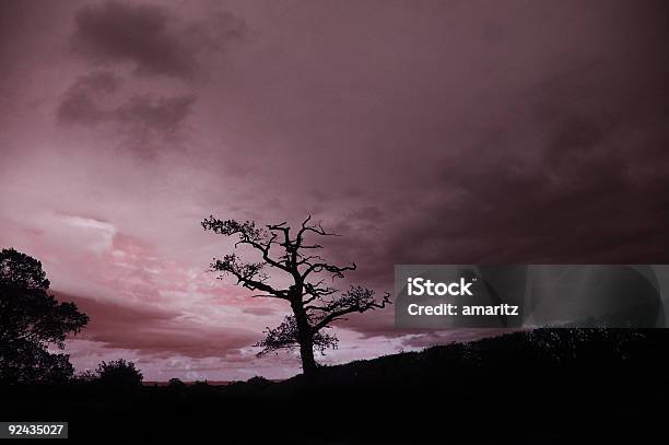 English Sunset Stock Photo - Download Image Now - Cloud - Sky, Color Image, England