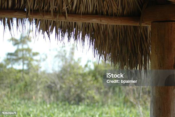 Gras Thatch Roofline Stockfoto und mehr Bilder von Ausgedörrt - Ausgedörrt, Baum, Dach