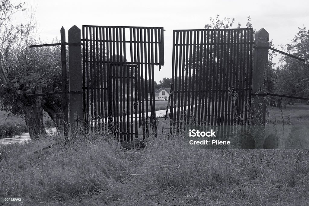Old Gate intemporel - Photo de Agneau - Animal libre de droits