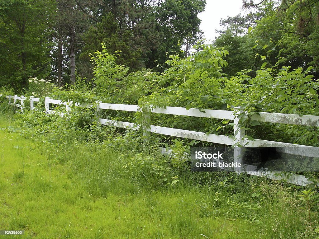 White Country Fence  Agricultural Field Stock Photo