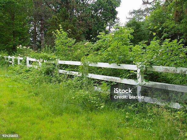 White Country Fence Stock Photo - Download Image Now - Agricultural Field, American Culture, Color Image