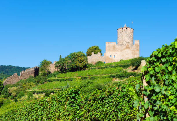 Medieval castle on the hill near Kaysersberg, France stock photo