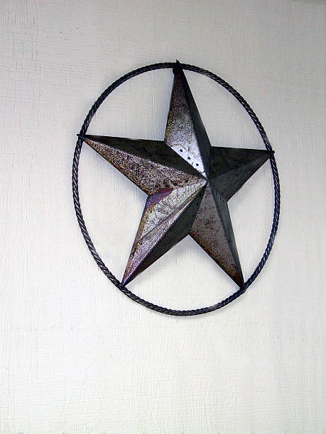 istock Lone Star in Rope Circle 4 92435753