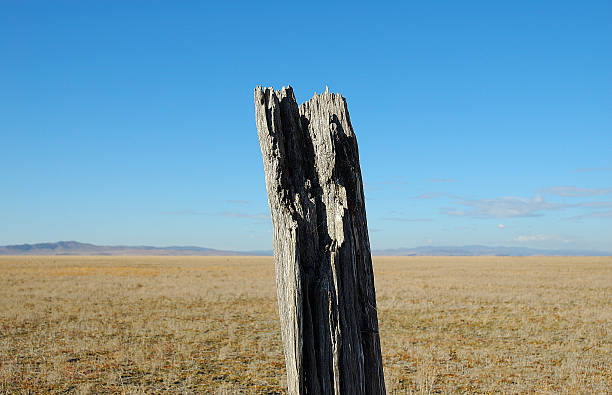 Fence Post stock photo