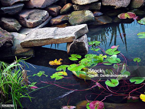 Estanque Con Peces Koi Foto de stock y más banco de imágenes de Estanque - Estanque, Agua, Aire libre