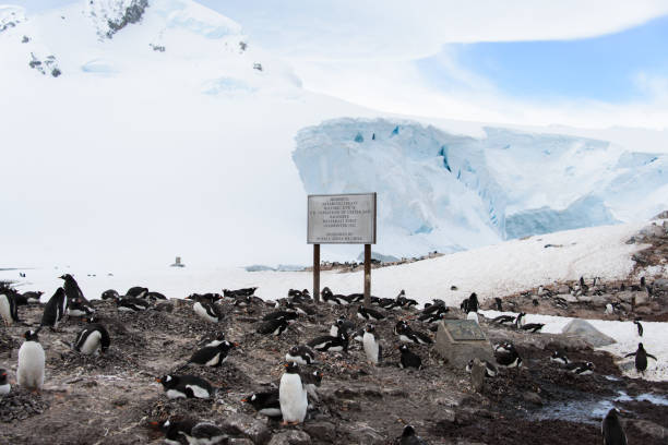 istock Chilean Antarctic research station 924359804