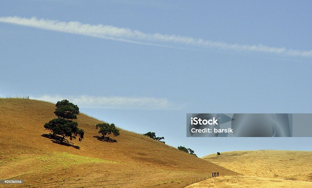 California hills (6 - Zbiór zdjęć royalty-free (Bez ludzi)