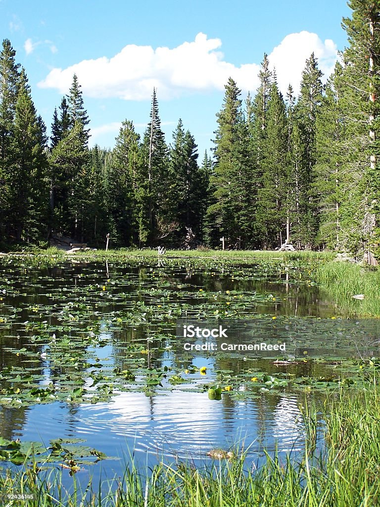 Colorado Lago - Foto stock royalty-free di Acqua