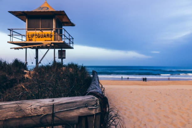 life savers - gold coast australia lifeguard sea imagens e fotografias de stock