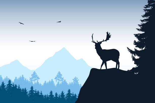 산과 새 비행 하늘 아래 배경에서 숲과 바위의 정상에 서 있는 사슴 사슴 - autumn backgrounds dawn dusk stock illustrations