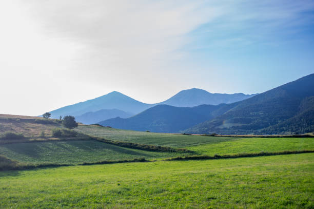 beautiful surroundings of the saillagouse village - countryside scenics imagens e fotografias de stock