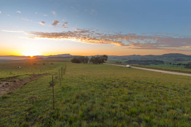 istock Golden sunrise at green fields 924368668