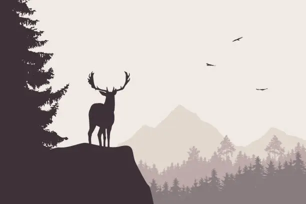 Vector illustration of Deer with stags standing at the top of rock with mountains and forest in the background, under the sky with flying birds