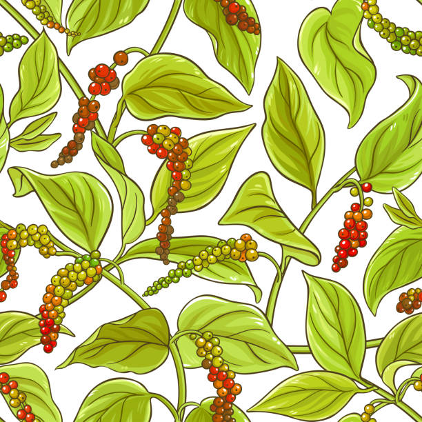 pfeffer schwarz gemahlen - pepper spice black peppercorn white background stock-grafiken, -clipart, -cartoons und -symbole