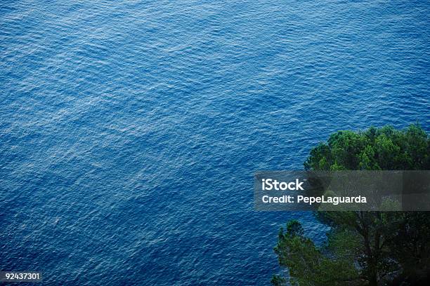 Sosna Oceanu - zdjęcia stockowe i więcej obrazów Bez ludzi - Bez ludzi, Brzeg wody, Ciecz