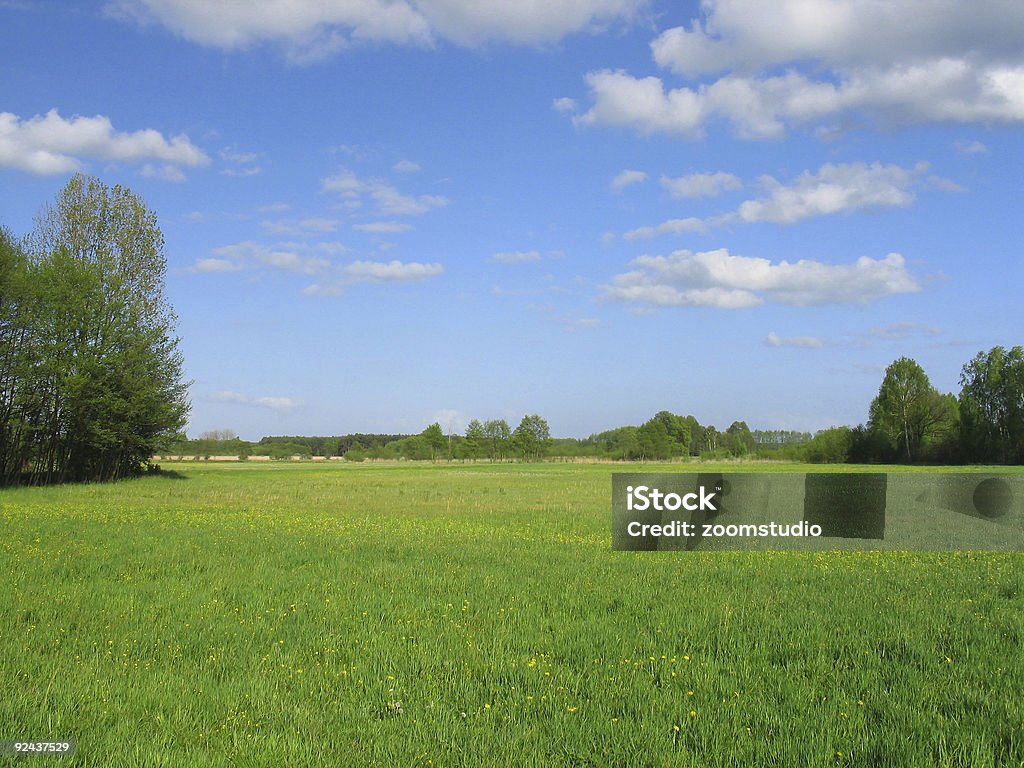 Spring In A Field Spring Fields Landscape Stock Photo - Download Image Now - Agricultural ...