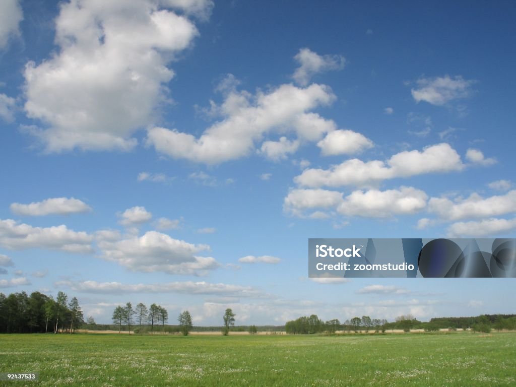 Champs de verdure et de ciel bleu - Photo de Springfield - Illinois libre de droits