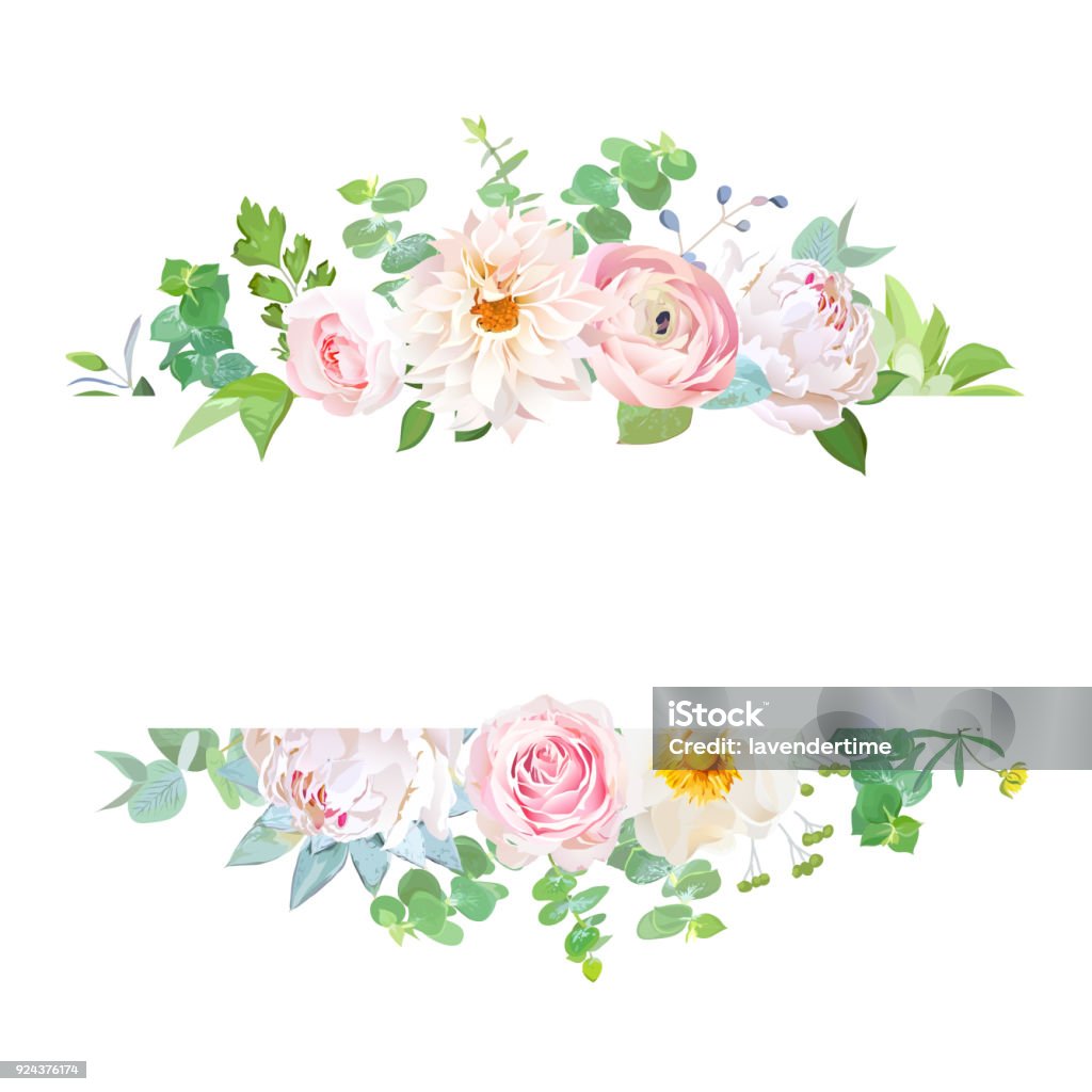Horisontal botanical vector design banner Horisontal botanical vector design banner. Pink rose, white peony, dahlia, ranunculus, eucalyptus, succulents, flowers, greenery. Natural spring card or frame. All elements are isolated and editable Flower stock vector