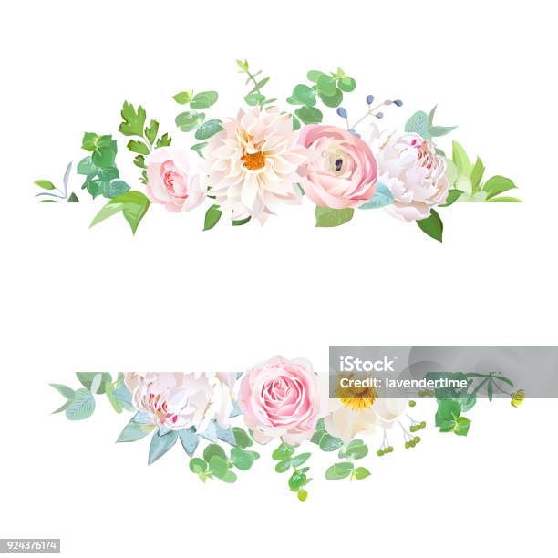 Horisontal Botanical Vector Design Banner Stock Illustration - Download Image Now - Flower, Rose - Flower, Springtime