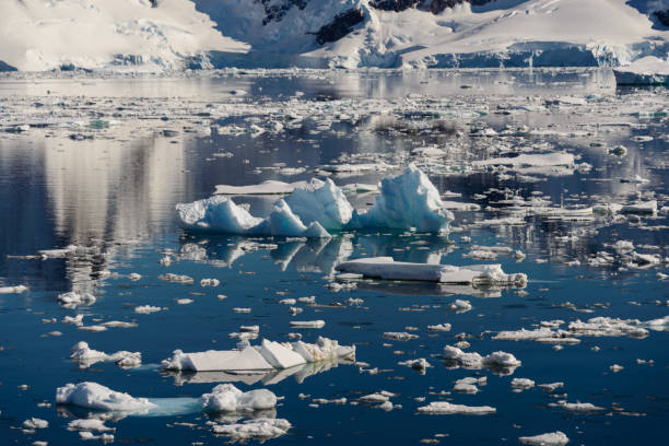 istock Piece of ice in water 924376370