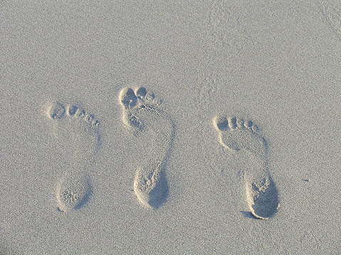 sneaker tracks on the sand on the beach by the sea