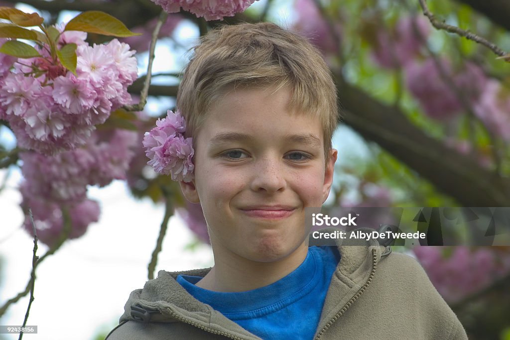 Enfant avec un cerisier japonais - Photo de Arbre libre de droits