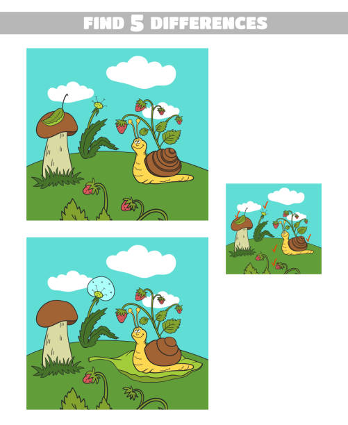 find_differences_forest_snail - spotting stock-grafiken, -clipart, -cartoons und -symbole